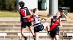 2020 Women's round 10 vs West Adelaide Image -5f2584d95157a